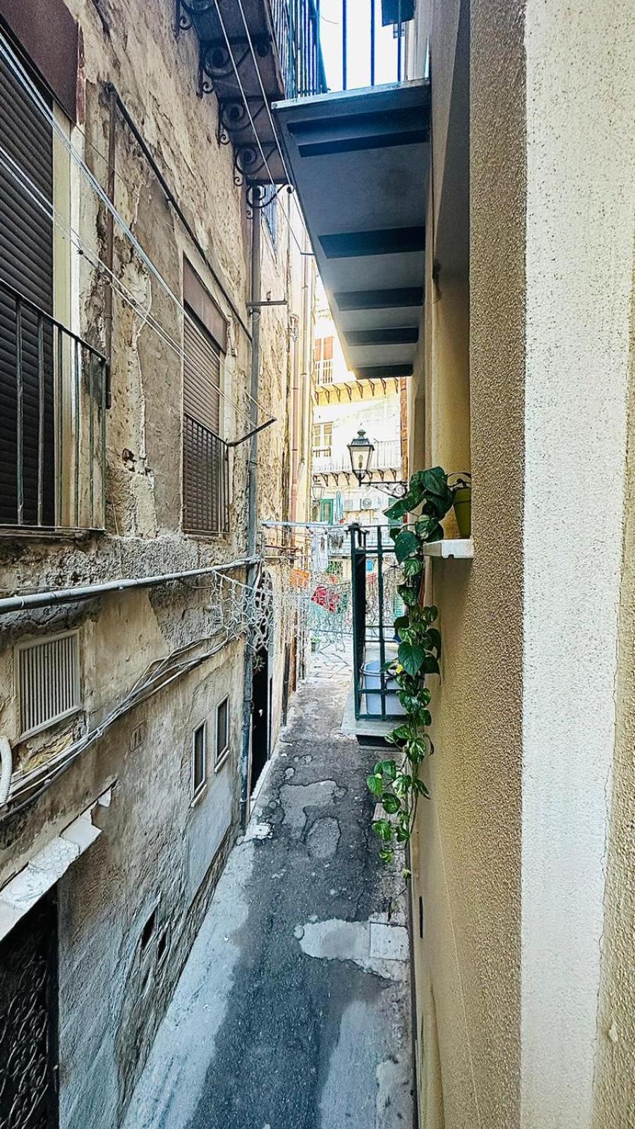 Camerini Di Santa Cecilia باليرمو المظهر الخارجي الصورة