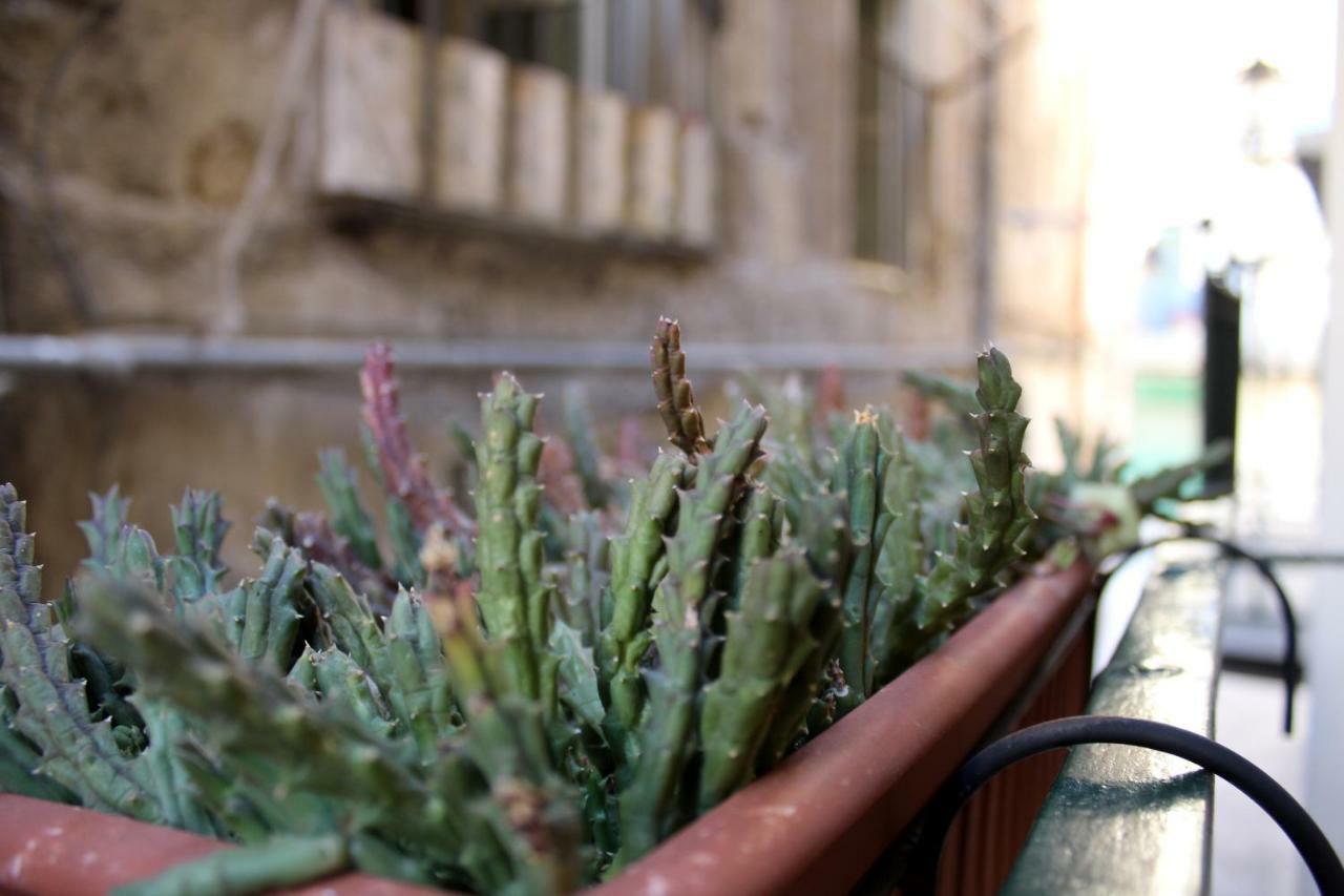 Camerini Di Santa Cecilia باليرمو المظهر الخارجي الصورة